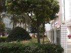thumbs/ShenZhenFront3.JPG.jpg