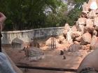 thumbs/Zoo11.JPG.jpg