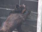 thumbs/Zoo2.JPG.jpg