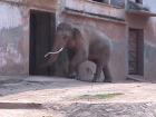 thumbs/Zoo3.JPG.jpg
