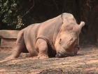 thumbs/Zoo7.JPG.jpg