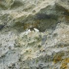 thumbnails/076-DSCN5129.JPG.small.jpeg