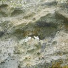 thumbnails/118-DSCN5130.JPG.small.jpeg