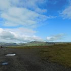thumbnails/120-DSCN5178.JPG.small.jpeg