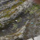 thumbnails/039-S1090001.JPG.small.jpeg